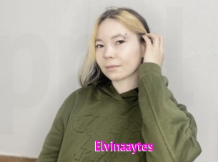 Elvinaaytes