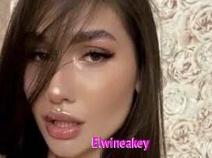 Elwineakey