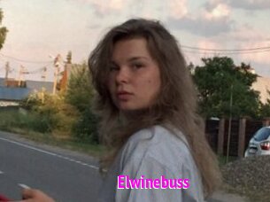 Elwinebuss