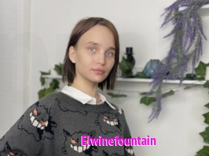 Elwinefountain