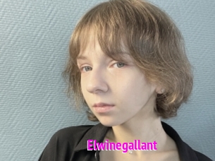 Elwinegallant