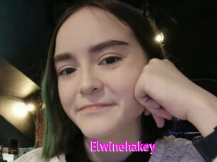Elwinehakey