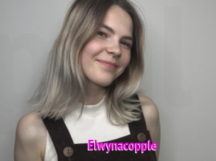 Elwynacopple