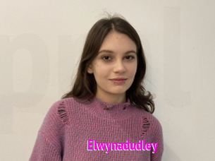 Elwynadudley