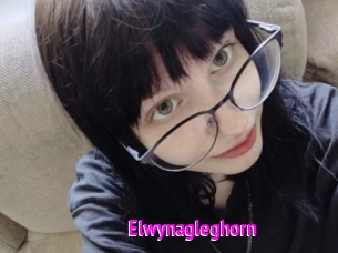 Elwynagleghorn