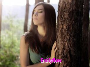Emilyflow