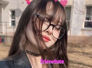 Erlenebate