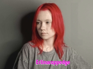 Erlinacoppedge