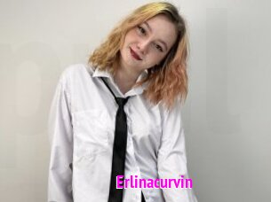 Erlinacurvin