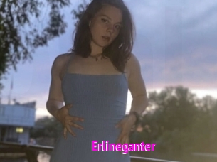 Erlineganter
