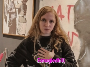 Esmagledhill