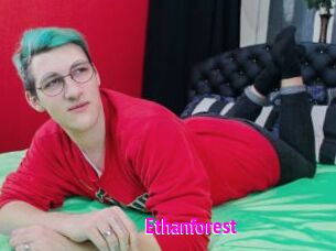Ethanforest