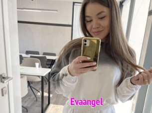 Evaangel