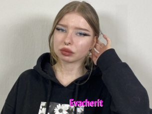 Evacherit