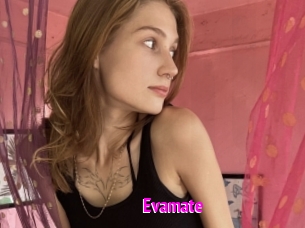 Evamate