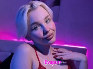 Evapurr