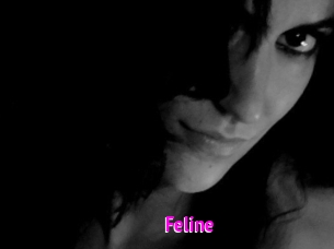 Feline
