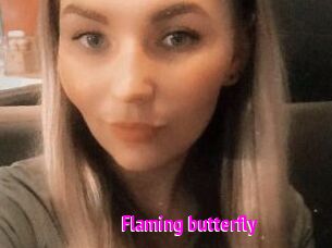 Flaming_butterfly