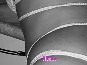 Floorx