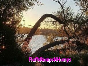 FluffsRumpsNHumps