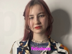 Felicebevis