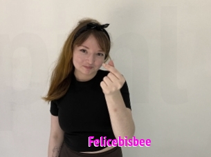 Felicebisbee