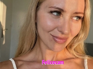 Felicecam