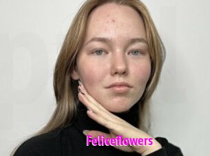 Feliceflowers