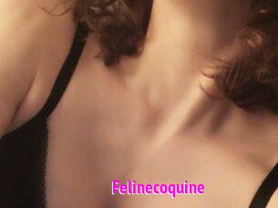 Felinecoquine