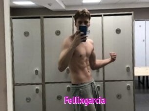 Fellixgarcia