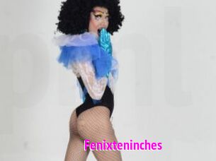 Fenixteninches