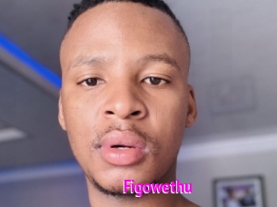 Figowethu