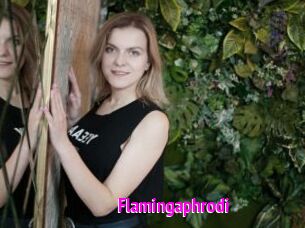 Flamingaphrodi