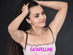 GATAFELLINE