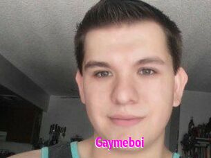 Gaymeboi