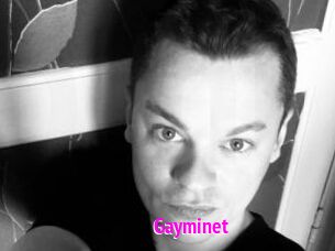 Gayminet