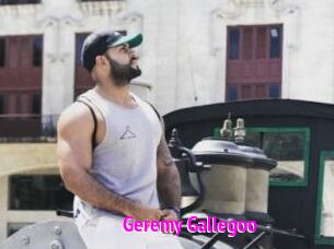 Geremy_Gallegoo