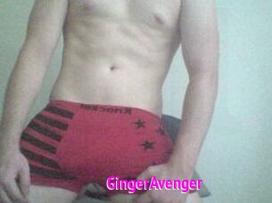 GingerAvenger
