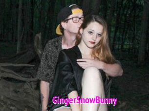 GingerSnowBunny