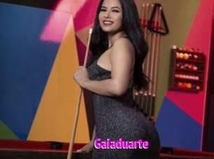 Gaiaduarte
