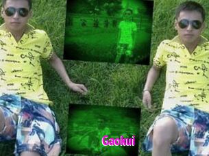 Gaokui