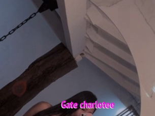 Gate_charlotee