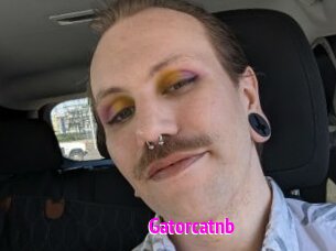 Gatorcatnb