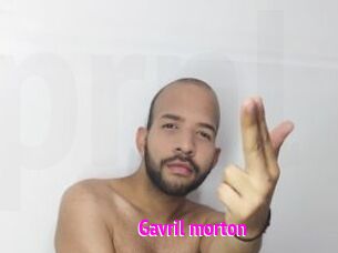 Gavril_morton