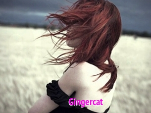 Gingercat