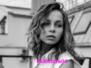 Goldiefoxwild