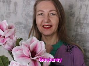 Greybunny