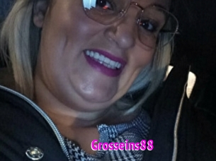 Grosseins88