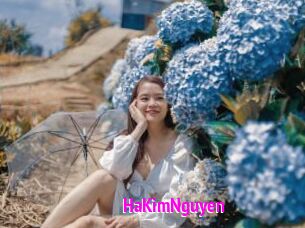HaKimNguyen