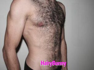 HairyBunny